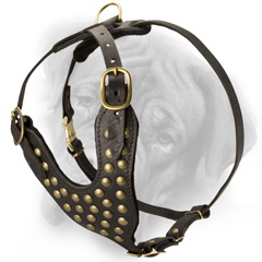 Studded harness