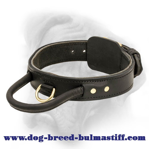 Extremly comfy and high quality 2 ply leather agitation dog collar with handle for Bullmastiff breed