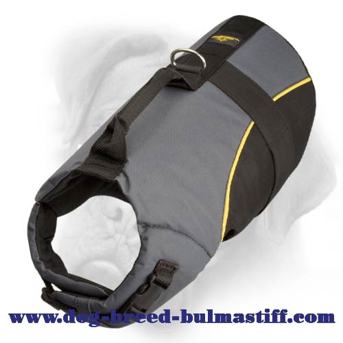 Bullmastiff dog nylon vest harness perfect for all seasons