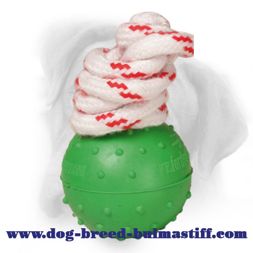 Totally Safe Rubber Dotted Bullmastiff Ball for Water Activities - Small