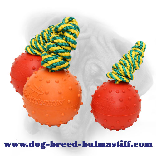 Rubber Bullmastiff Ball for Water Activities - Large