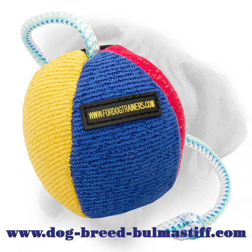 Great Bite Ball To Train Your Bullmastiff