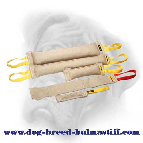 Professional Jute Set of 5 Bite Tugs for Bullmastiff