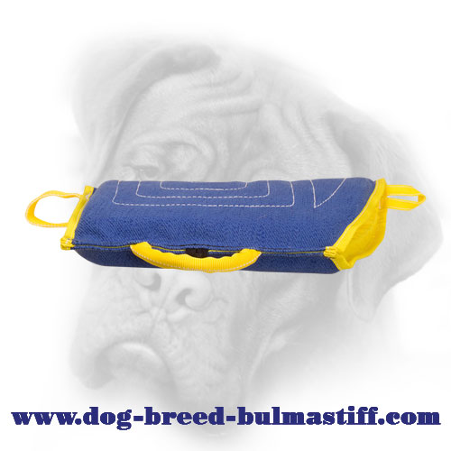 Professional French Linen Bullmstiff Bite Sleeve for Puppy Training