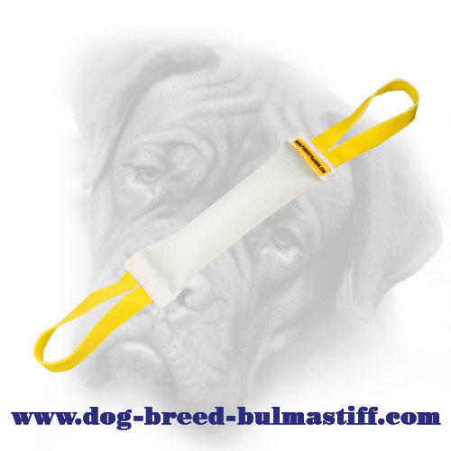 Super Durable Fire Hose Bullmastiff Bite Tug