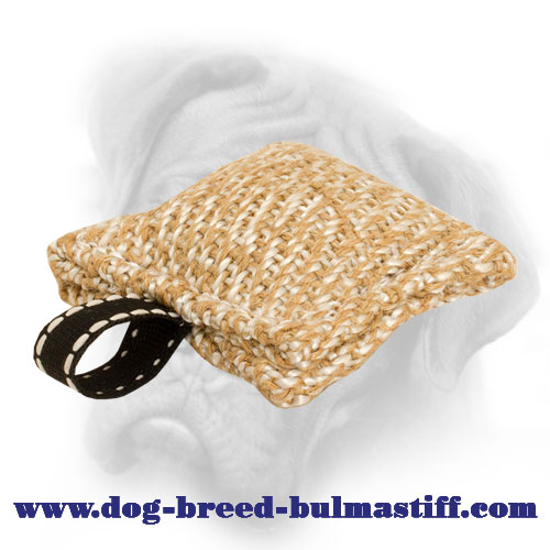 Pocket Tiny Jute Bullmastiff Puppy Bite Tug