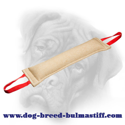 Adult Bullmastiff Bite Tug Made of Jute - Reliable and Non-Toxic