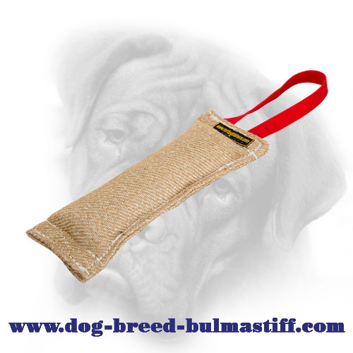Puppy Bullmastiff Jute Bite Tug Made with Care for Your Pet