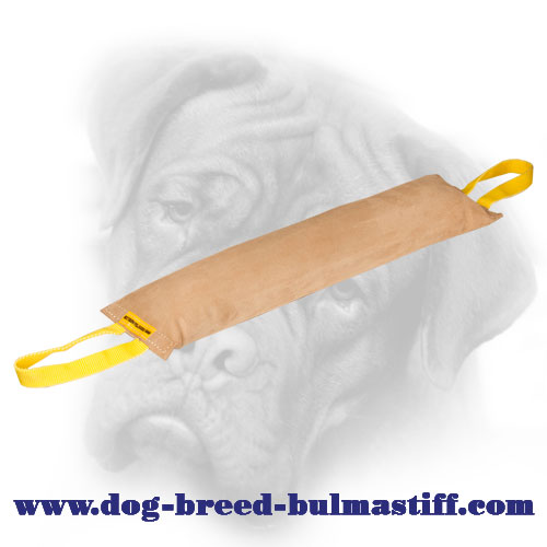 Large Adult Leather Bullmastiff Bite Tug