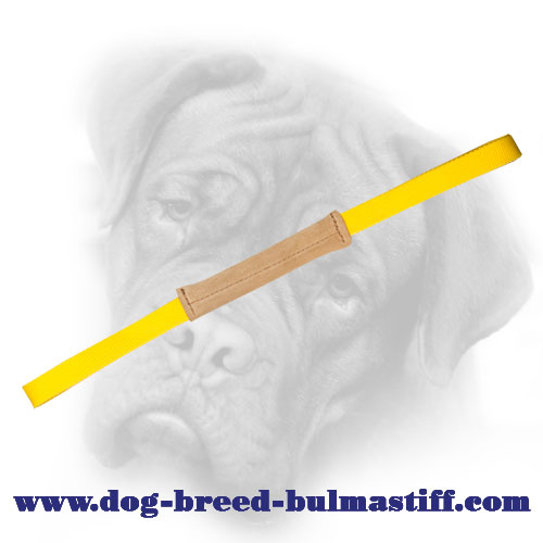 Super Durable Leather Bullmastiff Bite Tug for Puppies