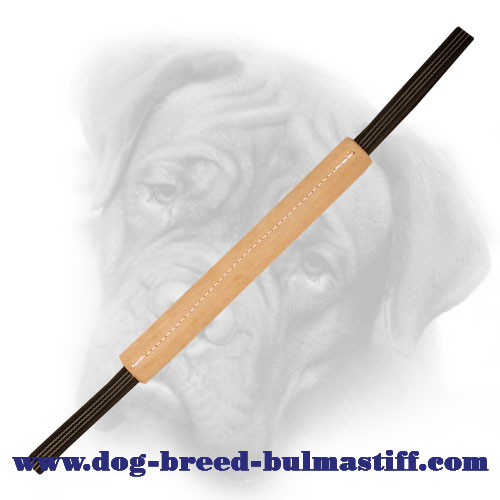 Hard and Sturdy Leather Pocket Bullmastiff Bite Tug
