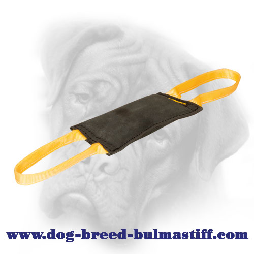 Leather Young Dog Bite Tug for Bullmastiff