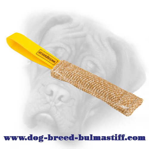 Safe Pocket Puppy Jute Bite Tug for Bullmastiff
