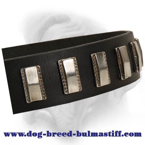 Decorated Dog Collar made of leather for Bullmastiff breed