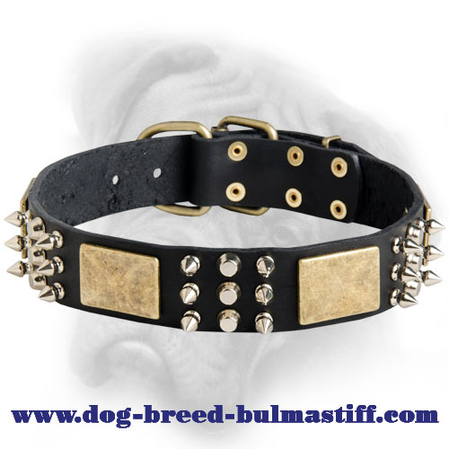 The Best Designer Leather Dog Collar with Massive Plates and Spikes for  Bullmastiff breed [C84##1014 Brass massive plates with 6 nickel spikes 3  pyramids] : Bullmastiff dog harness, Bullmastiff dog muzzle, Bullmastiff