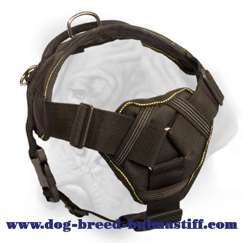 Nylon Easy Walking and Training Dog Harness for Bullmastiff breed