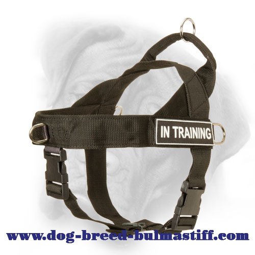 Extra Durable Bullmastiff Dog Harness with ID Patches for training  [H17##1014 Multifunctional nylon harness with id patch] : Bullmastiff dog  harness, Bullmastiff dog muzzle, Bullmastiff dog collar, Dog leashes