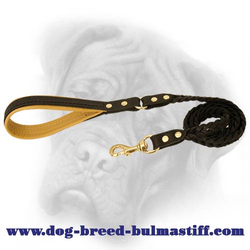 Stylish Braided Dog Leash for your Bullmastiff
