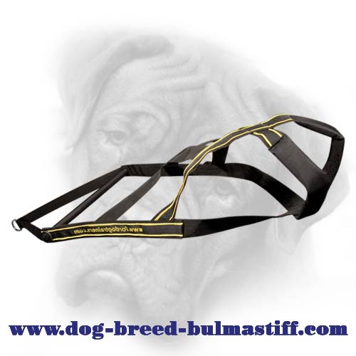 Comfy dog weight pulling harness for Bullmastiff breed