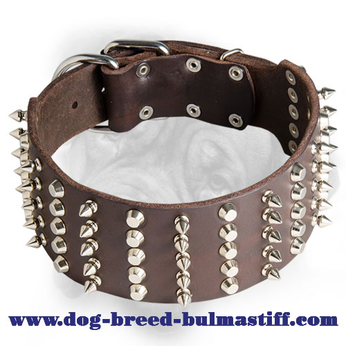 3 inch Spiked and Studded Bullmastiff Collar - Click Image to Close