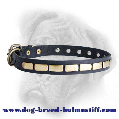 Royal Leather Bullmastiff Collar with Handset Brass Plates