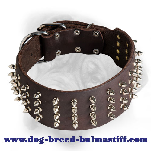 3 Inch Leather Bullmastiff Collar with 4 Rows of Nickel Spikes