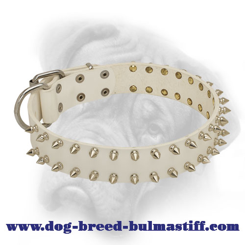 Elegant White Leather Collar for Bullmastiff