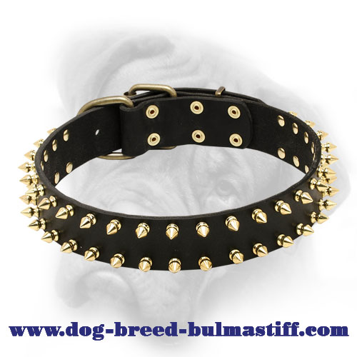 Fabulous Leather Spiked Collar for Bullmastiff Breed
