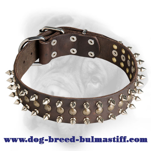 Fantastic Leather Bullmastiff Collar with Spikes and Studs
