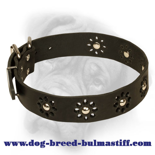 "Elegant Flower" Bullmastiff Collar with Chic Decoration
