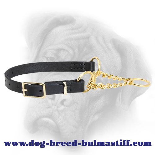 adjustable leather martingale collar