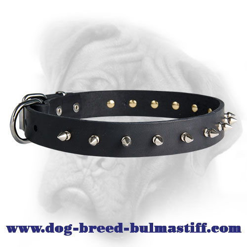 Lovely Royal Quality Leather Bullmastiff Collar for Walks