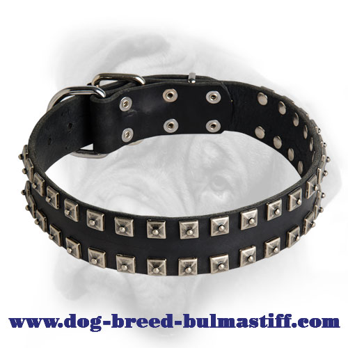 Delicate Caterpillar Leather Bullmastiff Collar for Everyday Activities