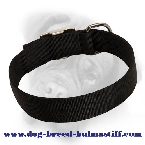 Wide 2 ply Nylon Bullmastiff Collar for Everyday Use