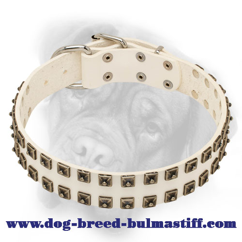 Exclusive White Leather Bullmastiff Collar