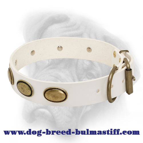 Retro White Leather Collar for Bullmastiff Breed