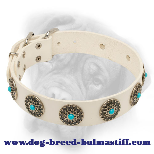 Designer White Leather Bullmastiff Collar with Gorgeous Decoration