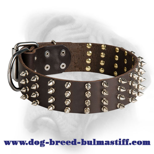 Extra Wide Leather Bullmastiff Collar with 4 Rows of Spikes