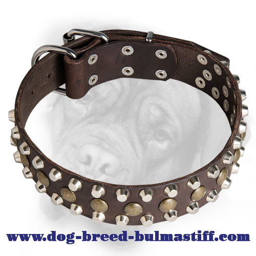Lovely Leather Bullmastiff Collar with Brass Studs and Nickel Pyramids