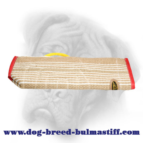Protective Bite Sleeve Cover for Bullmastiff Training