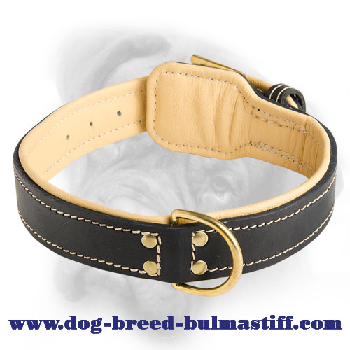 Elegant Bullmastiff Dog Collar made of nappa leather