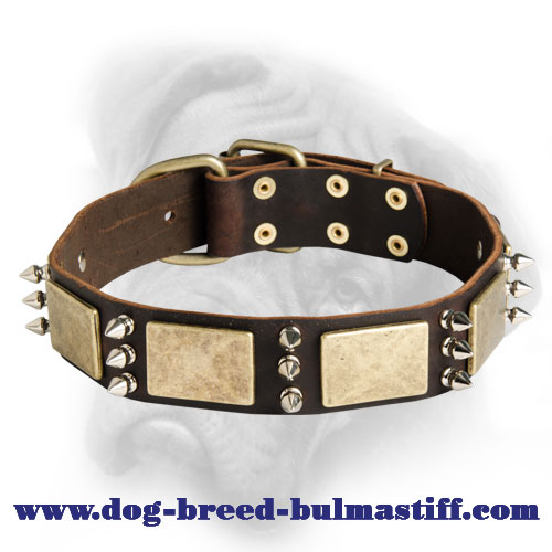 designer dog collars