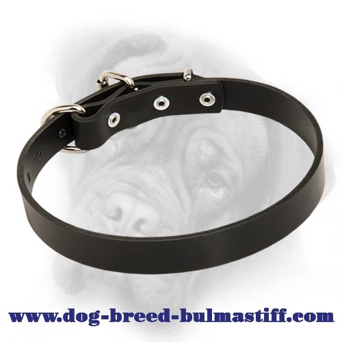 Leather Field Collar for Bullmastiff