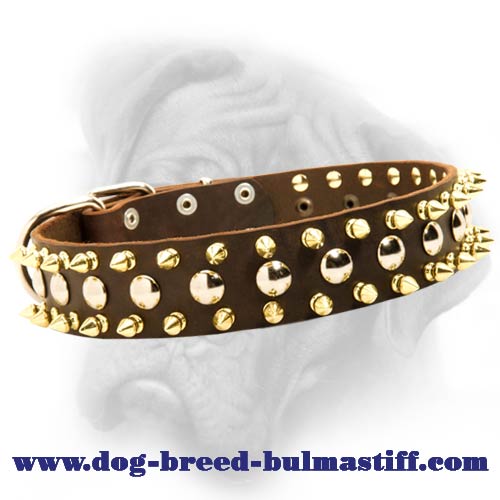 Perfectly designed leather dog collar with studs and spikes for Bullmastiff breed