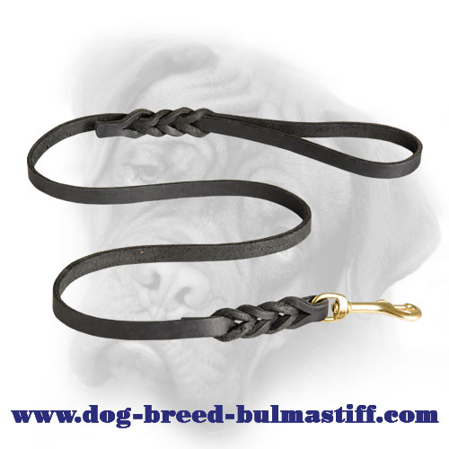 Incredible Leather Bullmastiff Leash