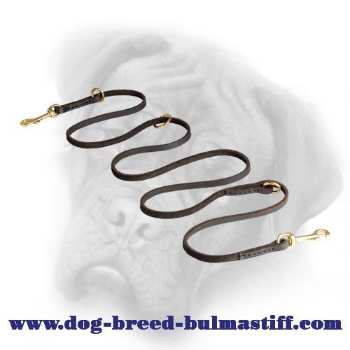 Walking and Training Leather Bullmastiff Leash