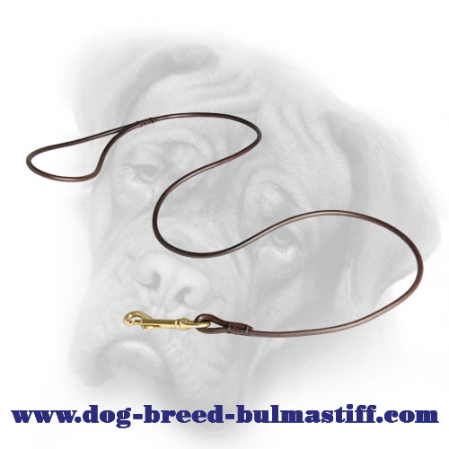 Tremendous Dog Show Leather Line for Bullmastiff