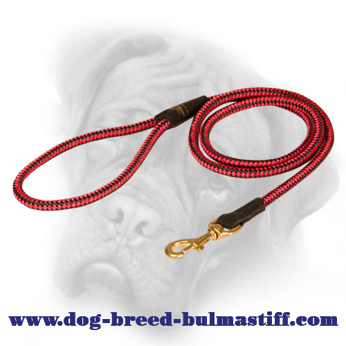Strong Cord Nylon Bullmastiff Leash for Active Dogs with Brass Snap Hook