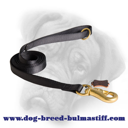 Professional Nylon Bullmastiff Leash for Walking, Training, Pulling, Tracking