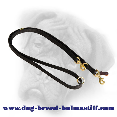 Multitask Nylon Bullmastiff Leash for Various Occasions